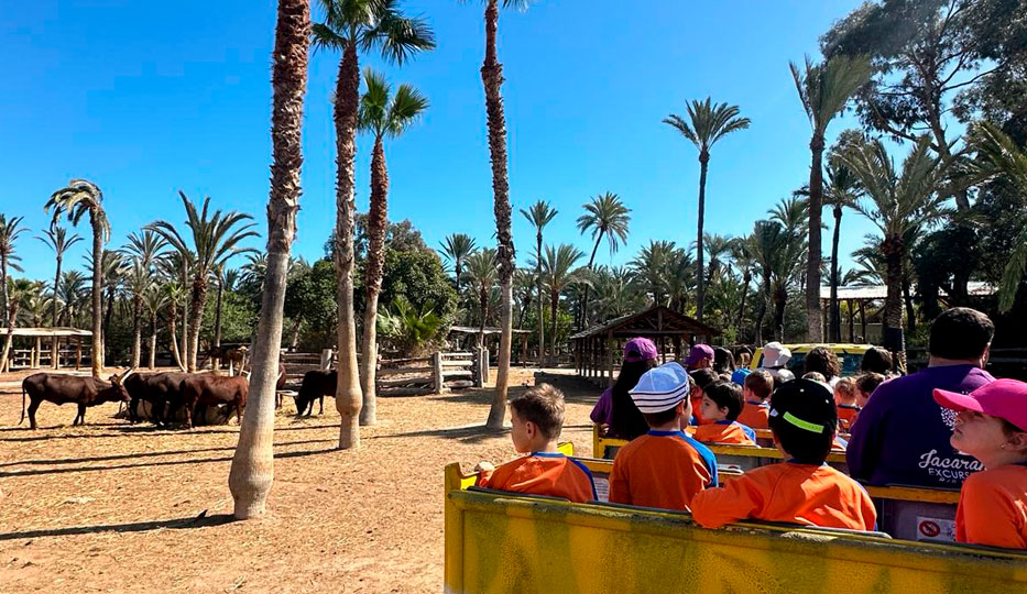 Excursión al Río Safari